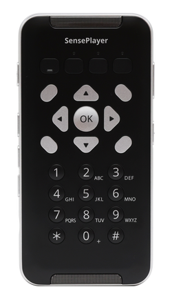 センスプレイヤーライト